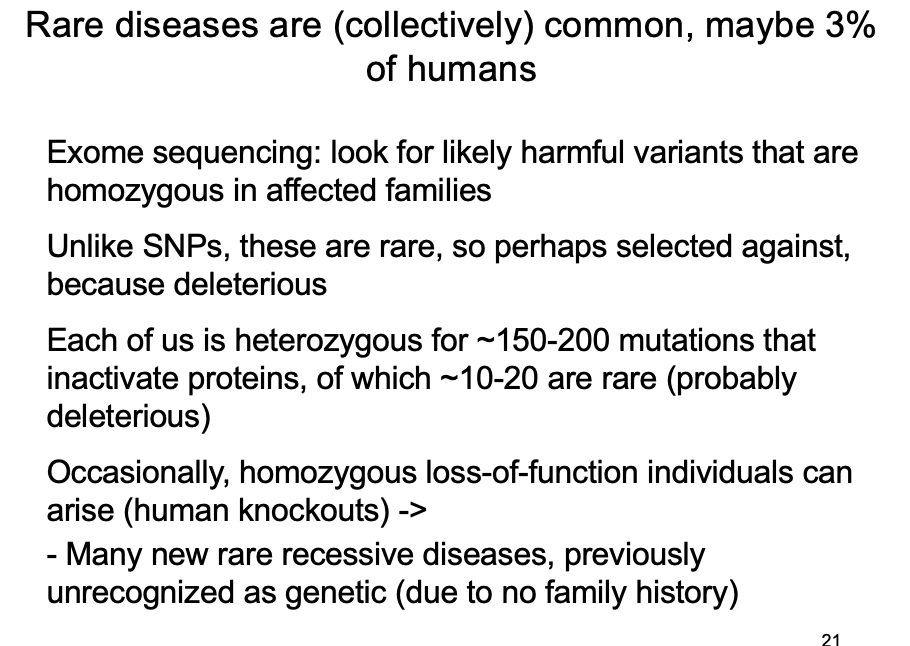 <p>→ like screens in model organism</p><ul><li><p>reveal<strong> more</strong>&nbsp;so than the small effect sizes in brute-force GWAS</p><ul><li><p>depends on humans who are homozygous or&nbsp;‘compound heterozygous’ (two different alleles in the same individual) for loss of function alleles and understanding their phenotyps</p></li></ul></li><li><p>Ever more ‘human knockouts’ are emerging</p></li></ul><p></p>