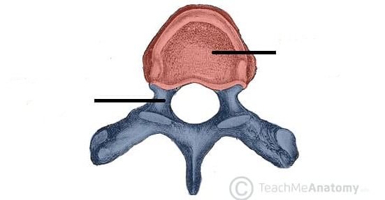 <p>red part</p>