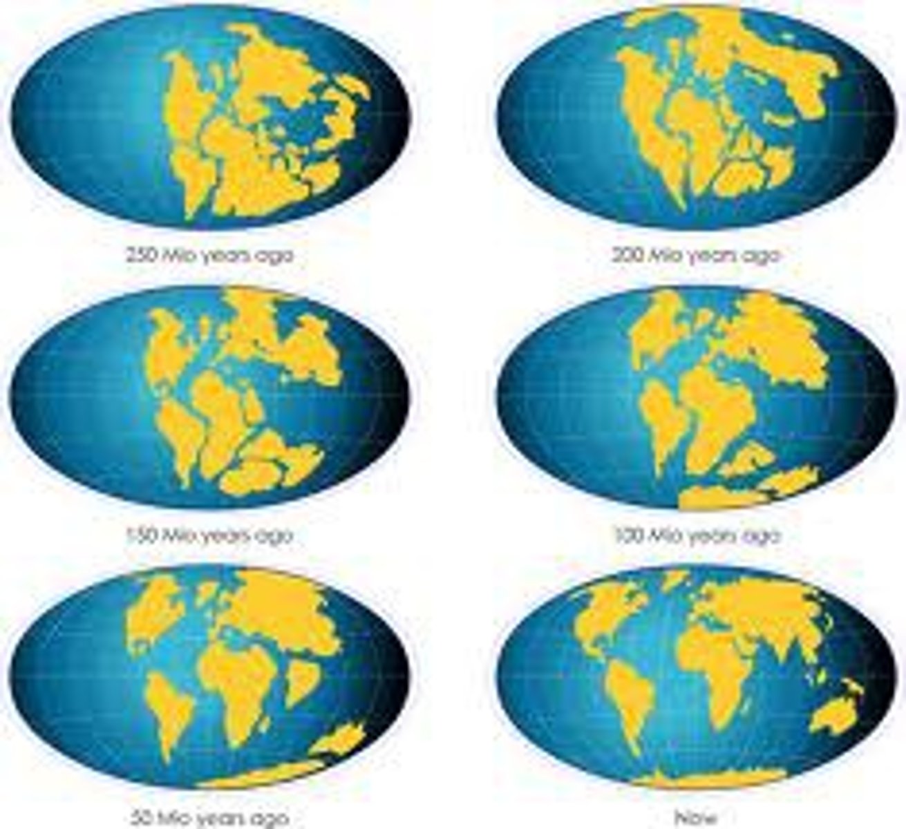 <p>theory created by Alfred Wegener to describe the movement of continents away from the supercontinent Pangaea over time</p>