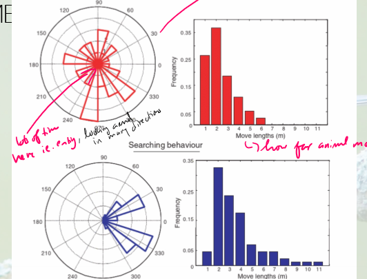 <p>What are step characteristics in terms of movement characteristics? What step characteristics would you expect to see in foraging vs searching behavior?</p>