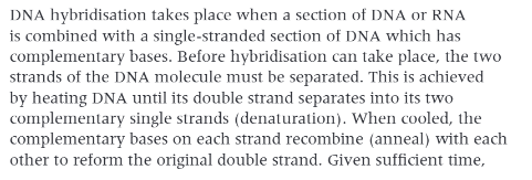 <p>DNA hybridisation</p>