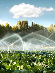 <p>N. (tưới tiêu)</p><ul><li><p><strong>Farmers rely on _______to water their crops during dry seasons.</strong><br>→ <em>Nông dân dựa vào </em><strong><em>hệ thống tưới tiêu</em></strong><em> để cung cấp nước cho cây trồng trong mùa khô.</em></p></li><li><p><strong>Efficient __________systems can save water and increase crop yields.</strong><br>→ <em>Các hệ thống </em><strong><em>tưới tiêu</em></strong><em> hiệu quả có thể tiết kiệm nước và tăng năng suất cây trồng.</em></p></li></ul><p></p>