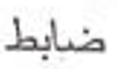 <p>What’s the definition, the plural, and the plural type?</p>