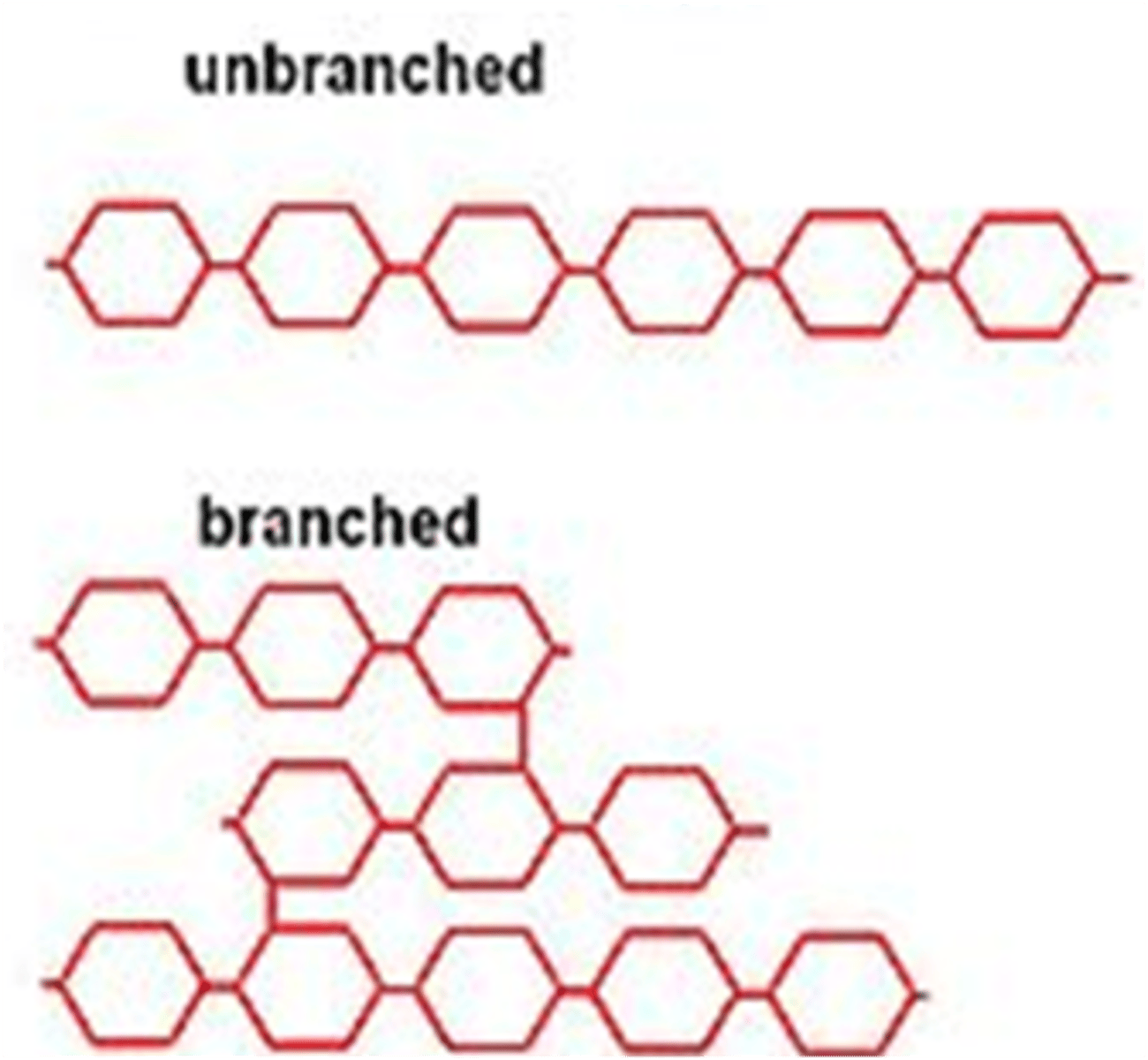 <p>Carbohydrates</p>