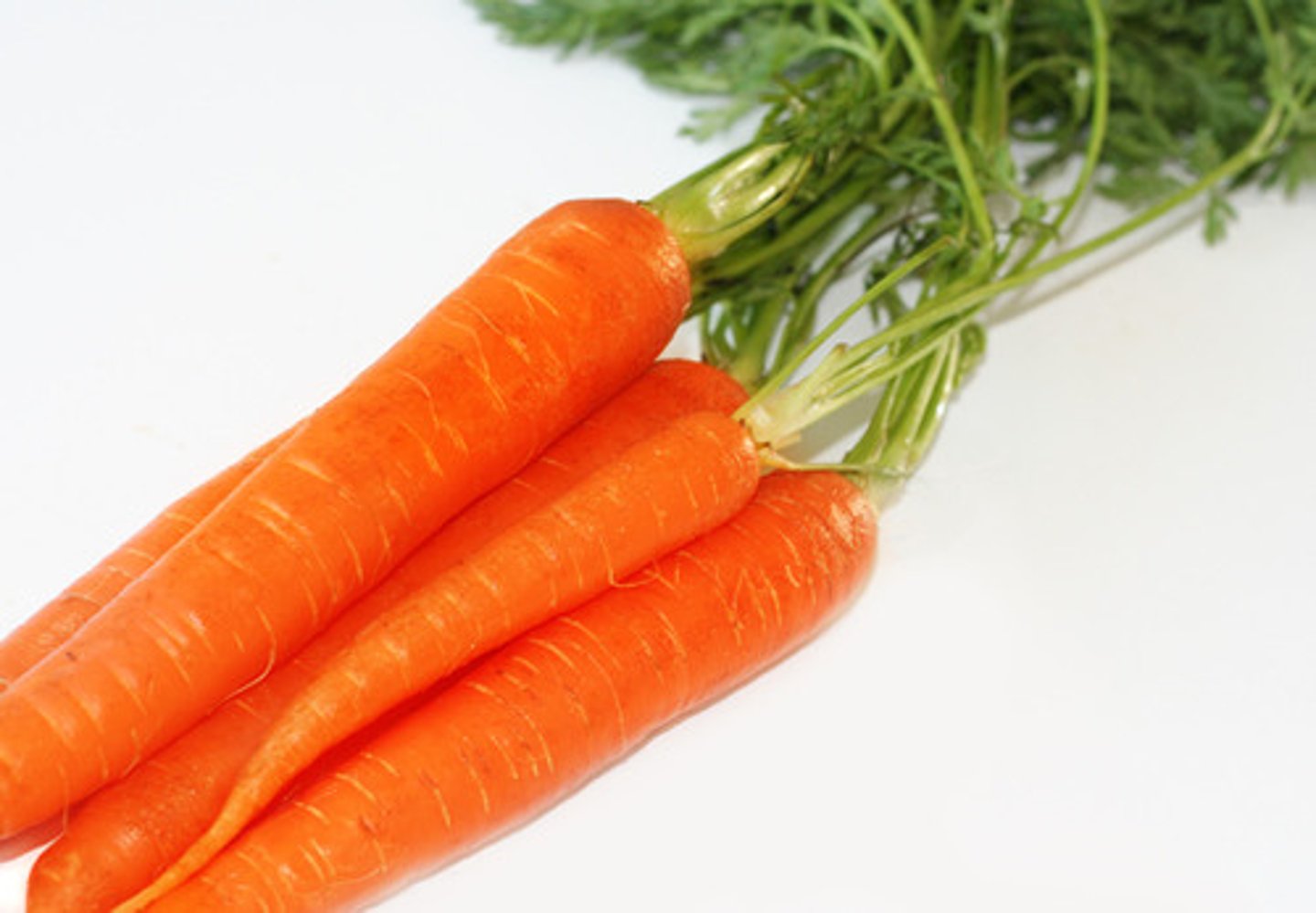 <p>some carrots</p>