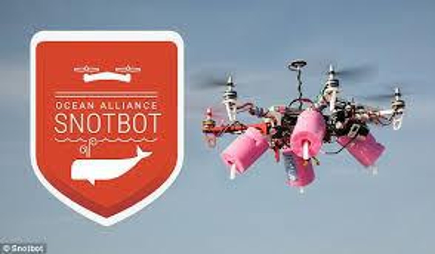 <p>Using portable sequencing to identify meat and fish species in passenger baggage to detect illegal bushmeat trade.</p>