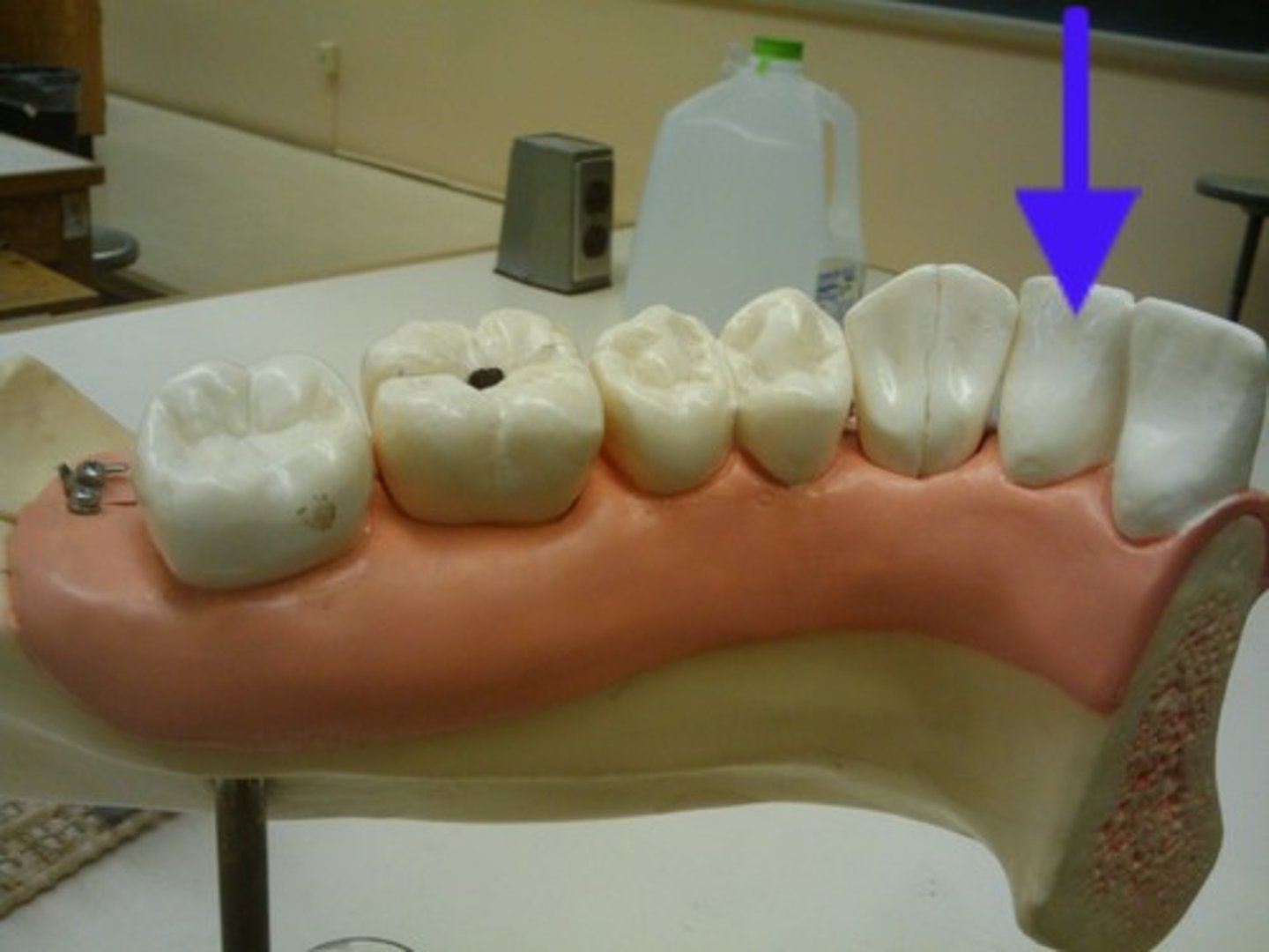 knowt flashcard image