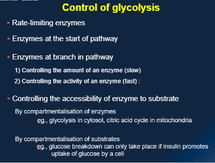 <p>Controlling the amount of an enzyme is very slow so often changing the activity is more important for control - achieved by allosteric control (still takes a bit more time) or phosphrylation (instantaneous, by kinases and dep by phosphatases</p>