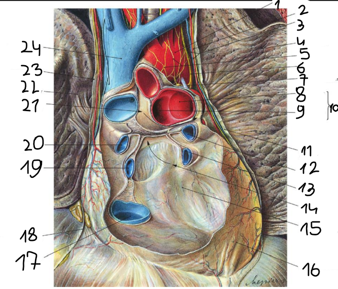 <p>19</p>
