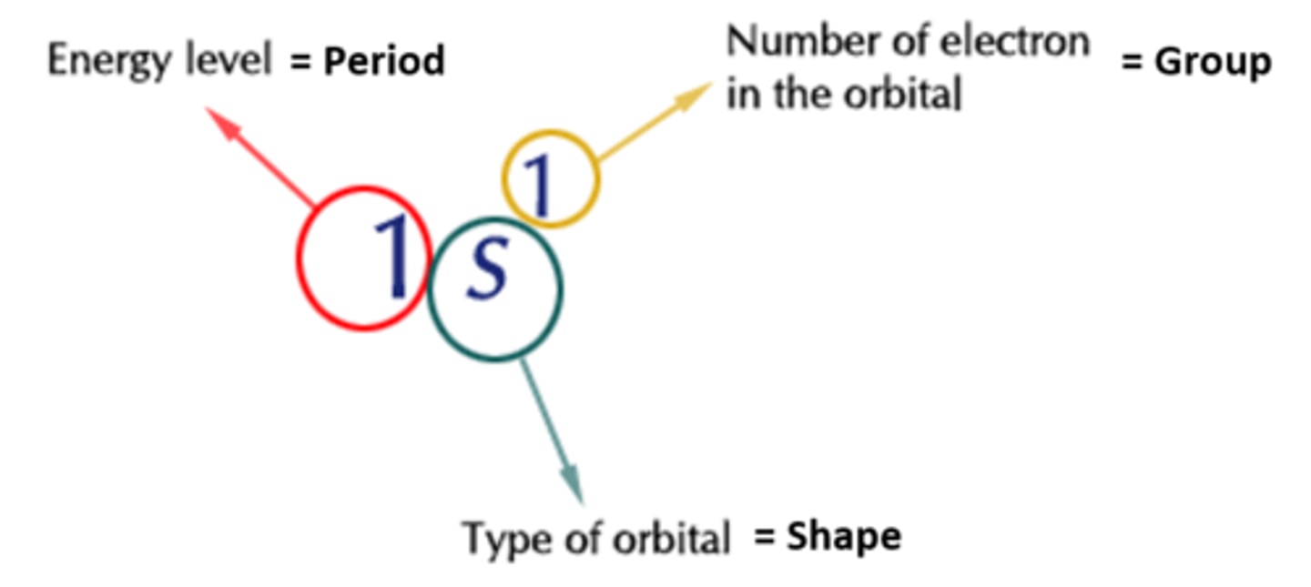 <p>1. The period number refers to what row the element is in</p><p>2. The letter refers to what sub orbital it is in (s,p,d,f)</p><p>3. The higher number refers to how many electrons are in that sub-orbital (how far along In the block eg carbon 2)</p><p>Start from the top of the periodic table writing down the sub orbital values as the element fills each one until the element itself is reached. Use the steps above to figure out the desired electron configuration</p>