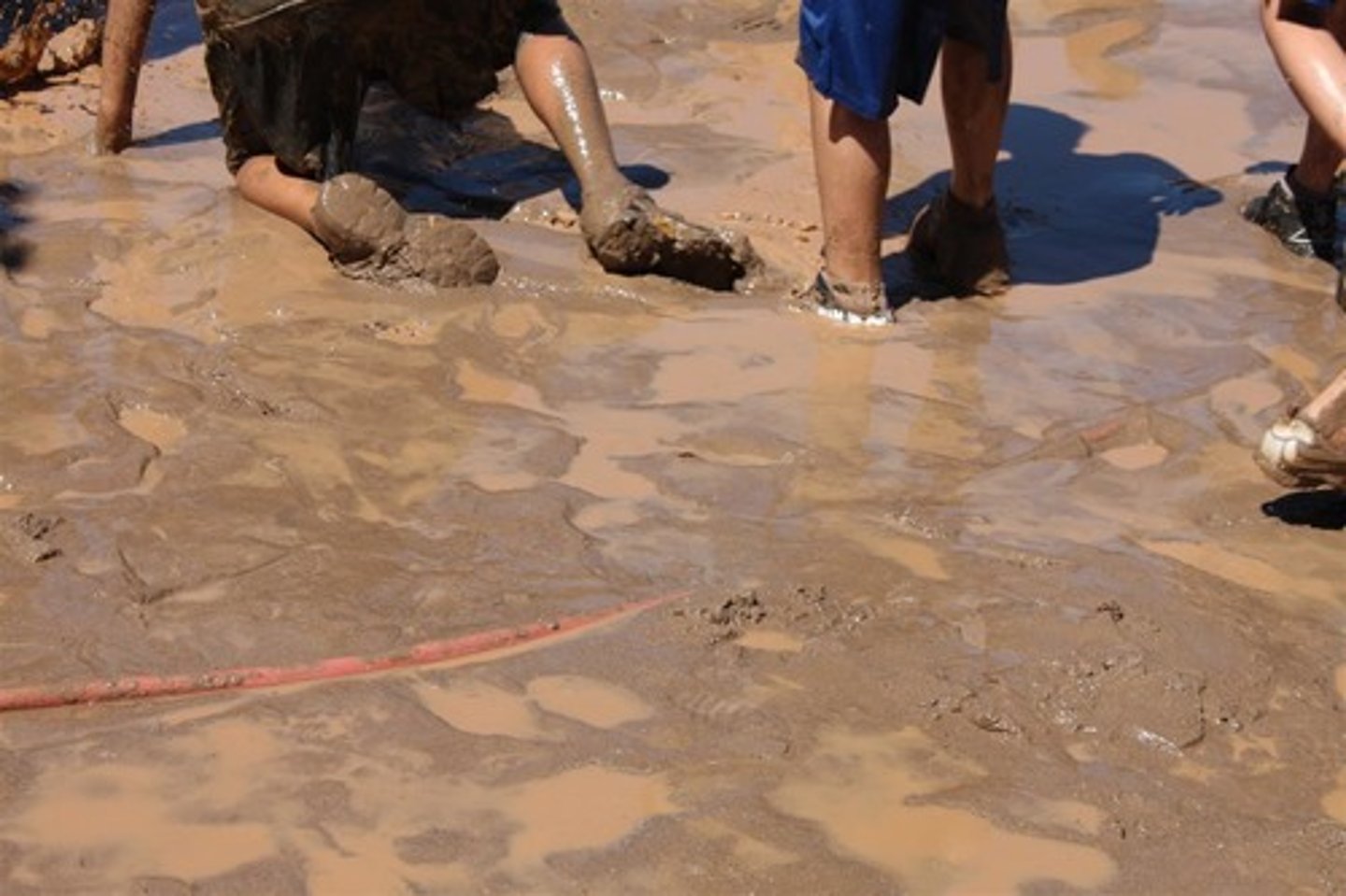 <p>the mud</p>