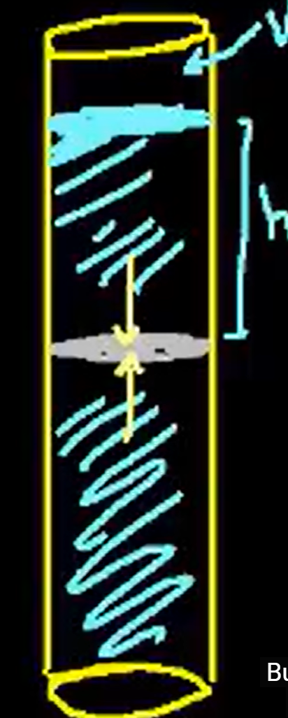 <p>how is the pressure of the disk found at some height h in the tube?</p>
