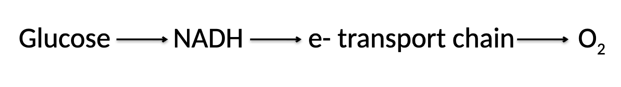 <p>what is this illustrating</p>