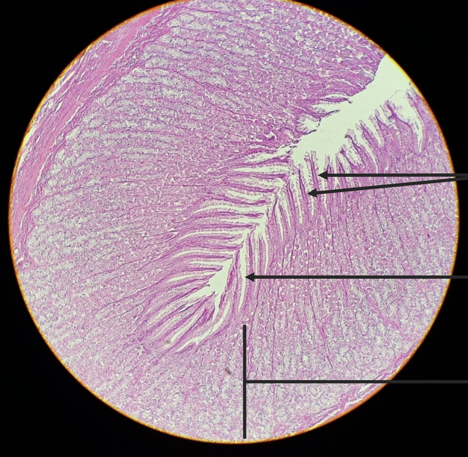 <p>what is this?</p>