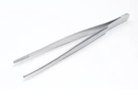 <p>What is the primary job of <strong>thumb forceps</strong> in veterinary medicine?</p>