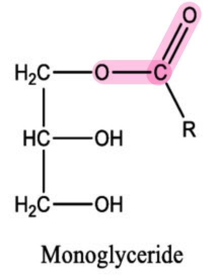 <p>What is the bond that joins a glycerol molecule to a fatty acid?</p>