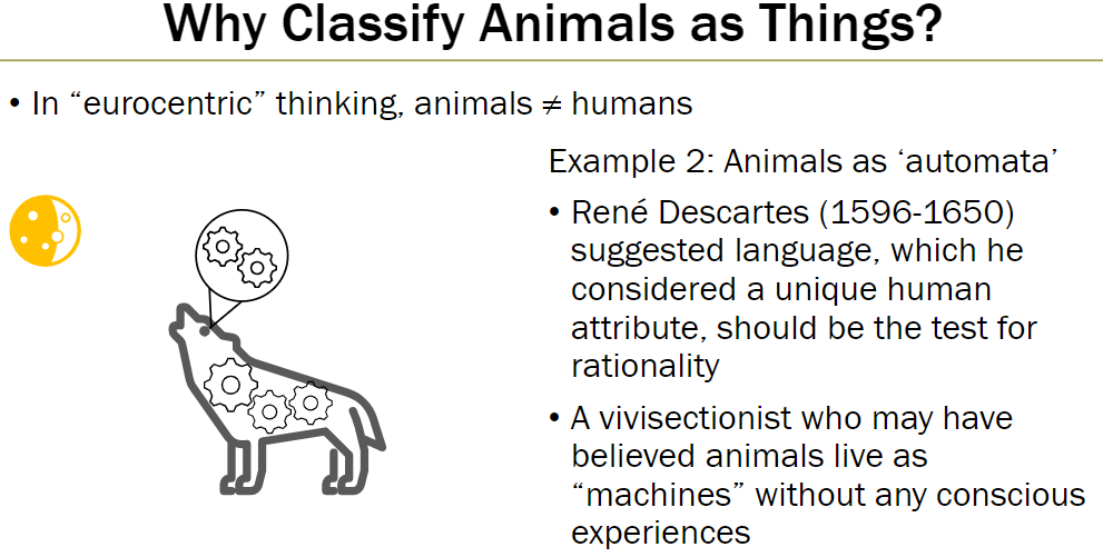 <p><strong>Descartes and Rationality</strong><br> René Descartes (1596–1650) argued language, a uniquely human trait, should test for rationality</p><p><strong>Implications for Animals</strong><br> Animals were considered “machines” without conscious experience<br> Some vivisectionists treated animals as if they lived mechanically, lacking feelings or awareness</p>