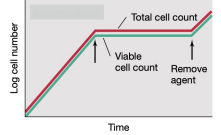<p>What is the antimicrobial agent that will show the data in the graph?</p>