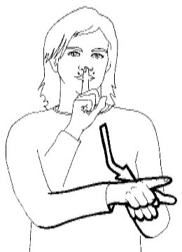 <p>With one hand at your face, with the index finger extended, move it to the open palm of your other hand and bounce them together twice</p>