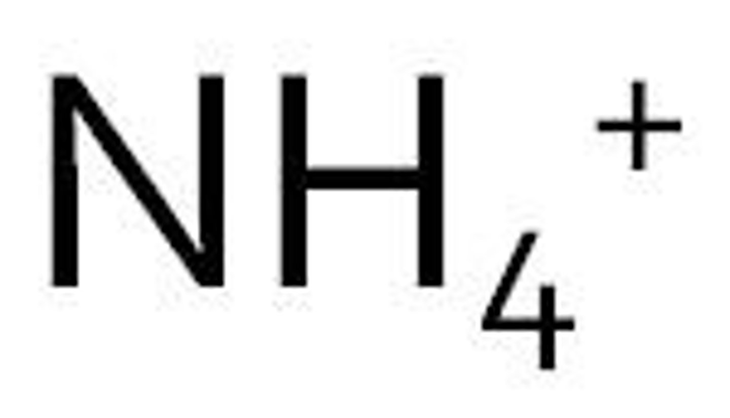 <p>NH4^{+} </p>