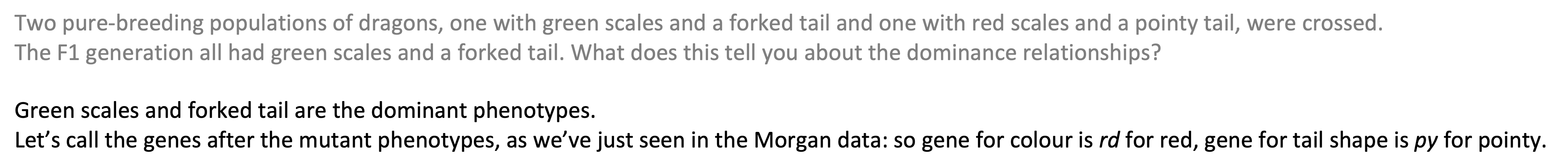 Read this before image 