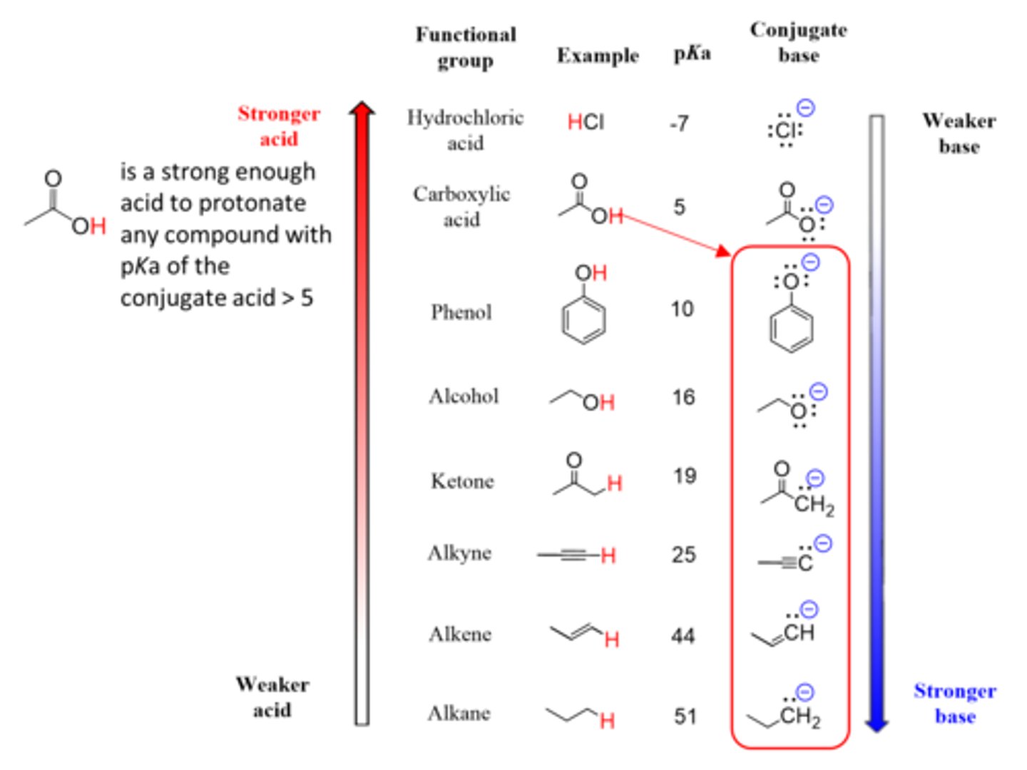<p>(B) CH3O-</p><p>CH3OH is a very weak acid, so its conjugate base will be extremely strong.</p>