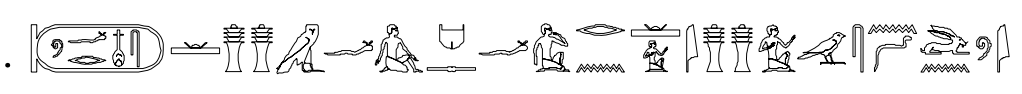 term image