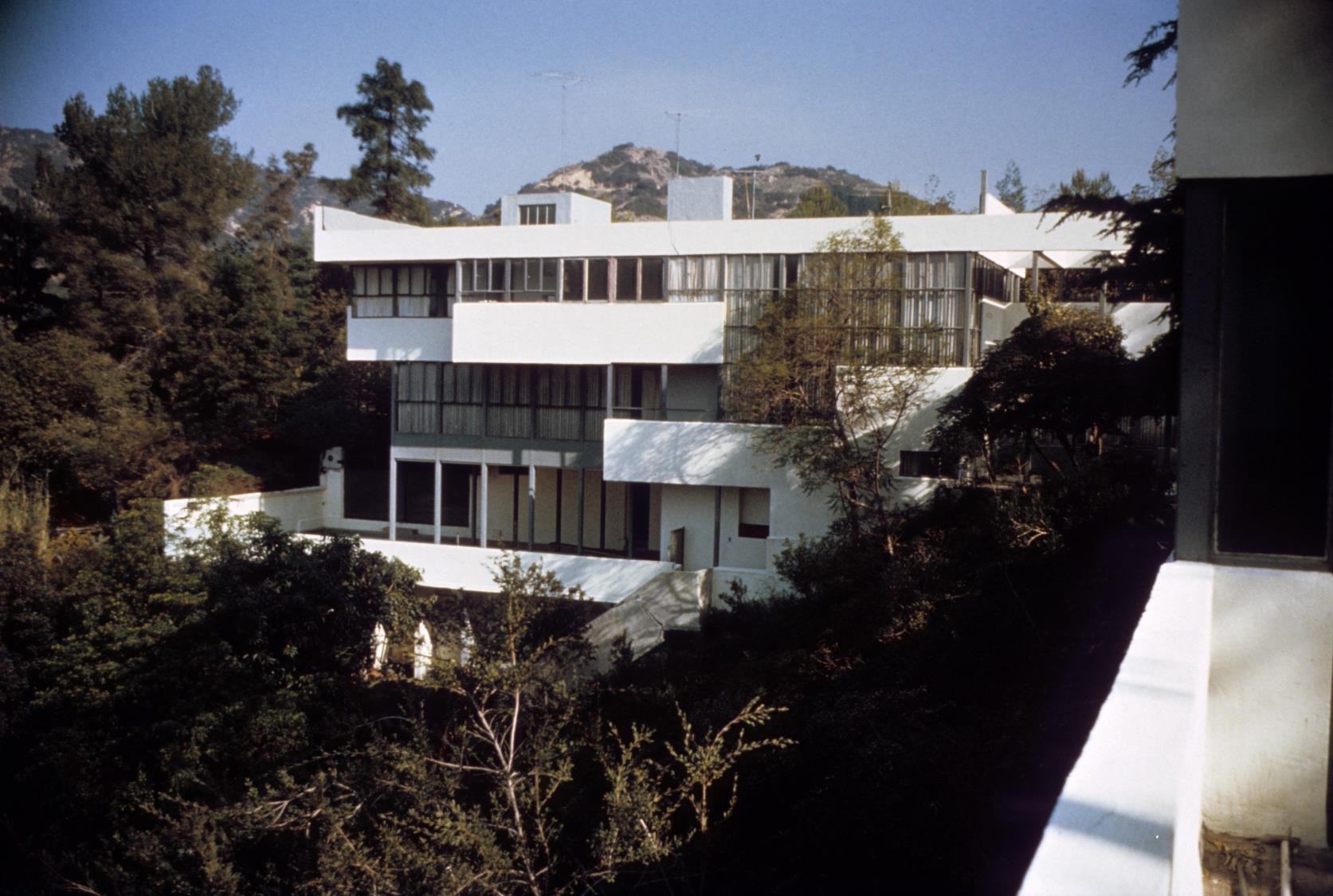 term image