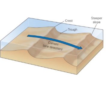 <p>when the current is going all in one direction</p>