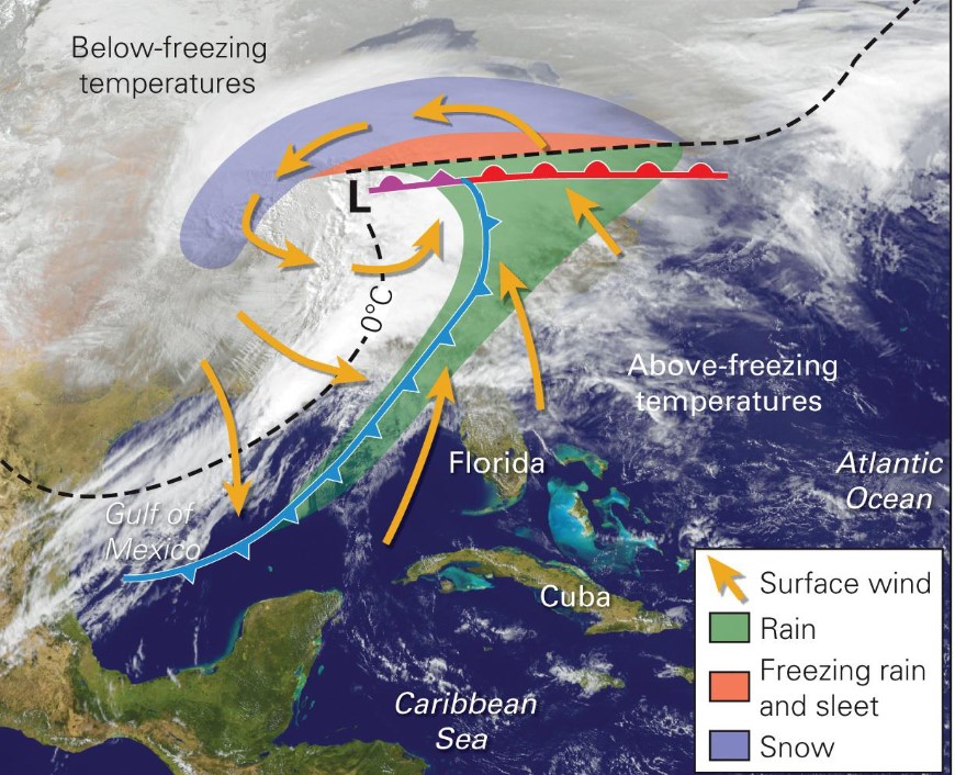 <ul><li><p>Mid-latitude cyclones on east coast</p></li><li><p>warm coastal waters provide moisture for precipitation</p></li><li><p>storms with strong winds blowing from the NE</p></li><li><p>create severe storms along east coast of N. America</p></li><li><p>they can create a storm surge, blizzards, and ice storms</p></li></ul>