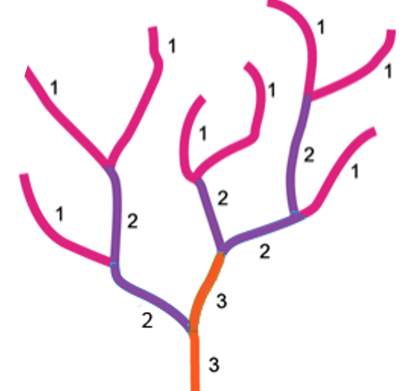 <p>A types of stratified sampling</p><ul><li><p class="Paragraph WhiteSpaceCollapse SCXP165422366 BCX0" style="text-align: left"><span>1st order streams– no tributaries have joined the stream. It is very close to the source​</span></p></li><li><p class="Paragraph WhiteSpaceCollapse SCXP165422366 BCX0" style="text-align: left"><span>2nd order streams – 2 x 1st order streams have joined together​</span></p></li><li><p class="Paragraph WhiteSpaceCollapse SCXP165422366 BCX0" style="text-align: left"><span>3rd order stream - 2 x 2nd order streams have joined together</span></p></li></ul><p></p>