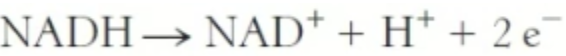 <p>What is the net potential of the reduction of NADH?</p>