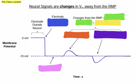<p>what does the blue box represent?</p>