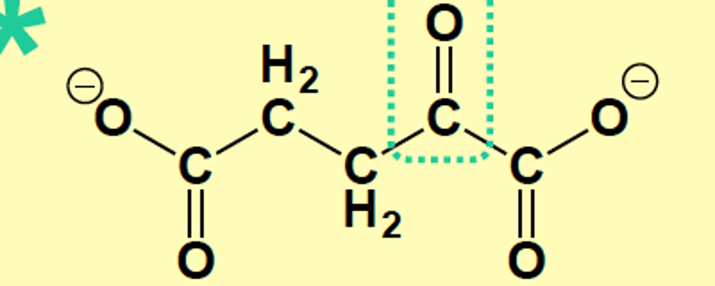 <p>a-Ketoglutarate</p>