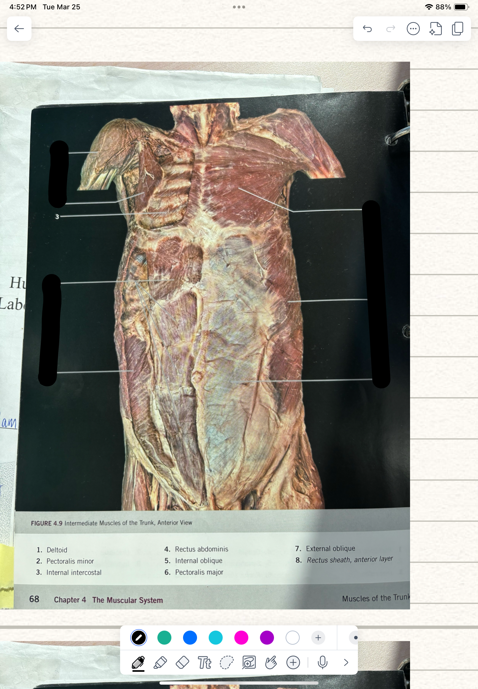 knowt flashcard image