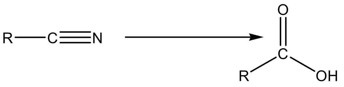 <p></p>