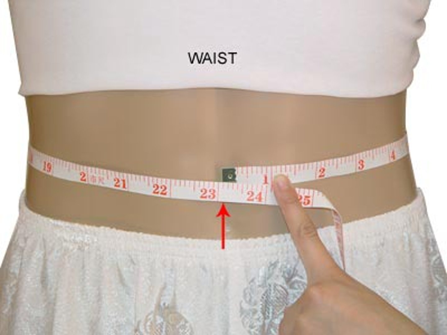 <p>waist</p>
