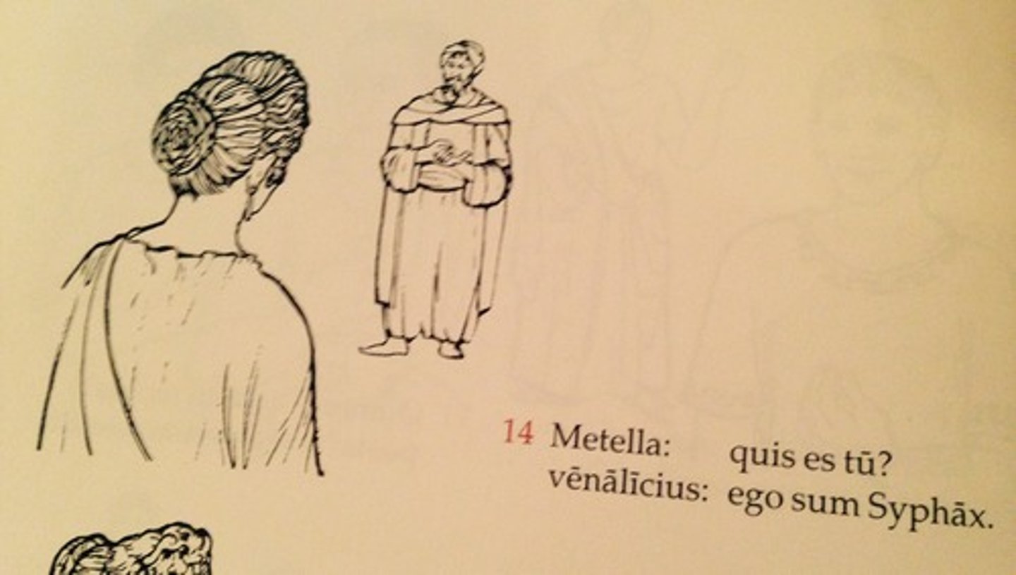 <p>Metella: Who are you?</p><p>slave trader: I am Syphax.</p>