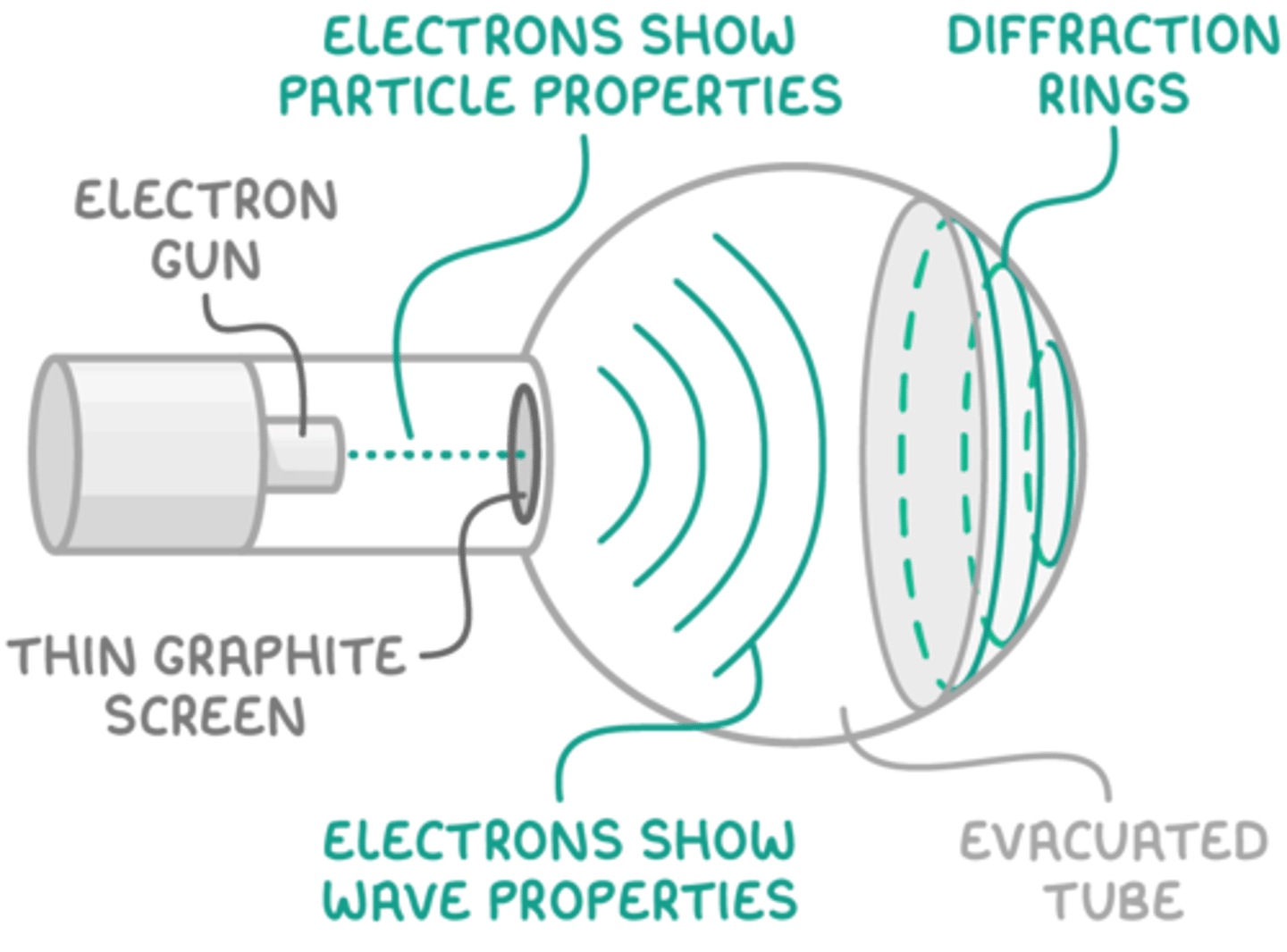 <p>They initially behave as a particle as they are accelerated by the high potential difference.</p><p>They then act as a wave when they diffract.</p><p>They then act again as particles when they collide with the screen.</p>
