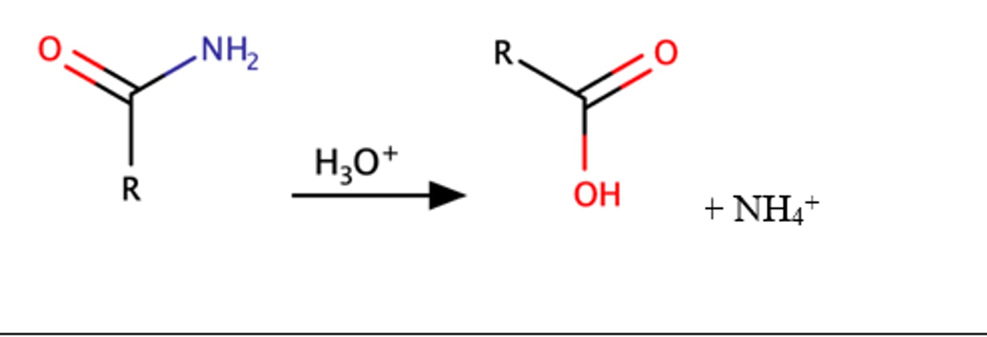 <p>Carboxylic acid</p><p>Reaction is slow and requires heat</p><p>Equilibrium favors formation of the products, reaction is irreversible</p>
