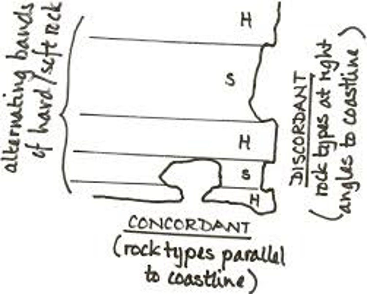 <p>A coastline created when alternating hard and soft rocks occur parallel to coast and are eroded at different rates</p>