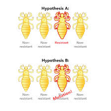 <p>A change in a gene or chromosome.</p>