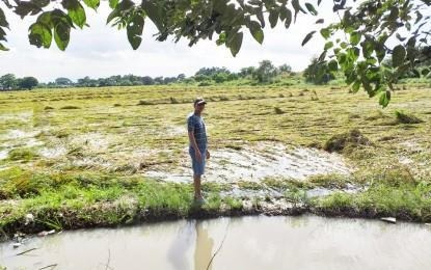 <p>Overextraction can harm ecosystems, lead to habitat loss, and cause salinity intrusion.</p>