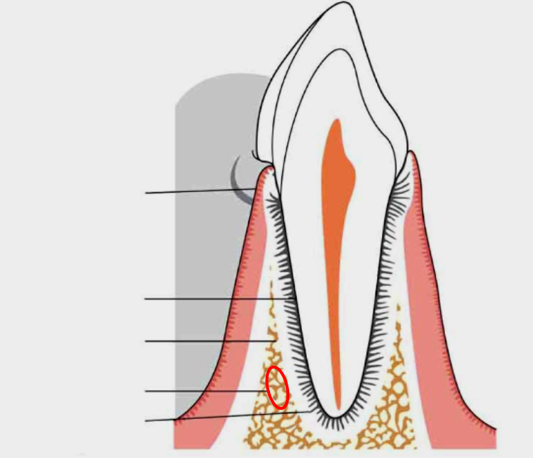 <p>What is this?</p>