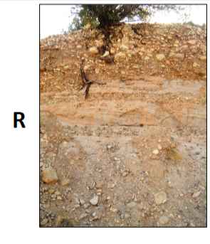 <ul><li><p>Subsurface horizon of consolidated, hard, continuous bedrock</p></li></ul>