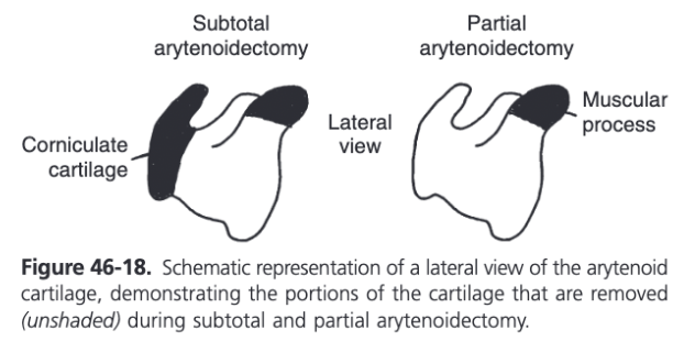 <ul><li><p><span>Two methods described:</span></p><ul><li><p><span>Subtotal - the muscular process and rim of the corniculate process are left intact</span></p></li><li><p><span>Partial - only the muscular process is left intact</span></p></li></ul></li><li><p><span>In a quantitative evaluation in 1990, it was demonstrated that subtotal arytenoidectomy failed to improve upper airway function in horses exercising on a high-speed treadmill with surgically induced left laryngeal hemiplegia (Belknap et al, 1990)</span></p></li><li><p><span>The effect of partial arytenoidectomy on upper airway function was evaluated by tidal breathing flow-volume analysis, measurement of upper airway impedance, and videoendoscopic examination of the larynx in strenuously exercising horses with surgically induced left laryngeal hemiplegia in 1994 (Lumsden et al, 1994)</span></p><ul><li><p><span>Partial arytenoidectomy improved upper airway function in exercising horses with surgically induced left laryngeal hemiplegia and was superior to subtotal arytenoidectomy as a treatment for both failed laryngoplasty and arytenoid chondropathy</span></p></li></ul></li><li><p><span>Number of methods and modifications for partial arytenoidectomy</span></p><ul><li><p><span>Controversy exists over whether the mucosa on the medial surface of the arytenoid cartilage should be retained and sutured closed for primary wound healing or if complete resection of the cartilage with attached mucosa gives the best results</span></p></li></ul></li><li><p><span>Recommend combining a partial arytenoidectomy with a ventriculocordectomy, removing all devitalized and redundant mucosa, and suturing the lesion so that all excised mucosal edges are apposed and the luminal surface is as smooth as possible</span></p><ul><li><p><span>Any redundant tissue left in the airway creates turbulence and noise and may interfere with airway function</span></p><ul><li><p><span>Such tissue should be removed at 30 days after surgery via laser ablation before cicatrix formation and mineralization make it impossible</span></p></li></ul></li></ul></li><li><p><span>Ventriculocordectomy site is left open for ventral drainage</span></p></li><li><p><span>Most rostral and lateral mucosa covering the corniculate cartilage should be retained</span></p></li><li><p><span>Partial arytenoidectomy does not completely restore the upper airway to normal but that the procedure is a viable treatment option for arytenoid cartilage malfunction in the horse</span></p></li></ul>