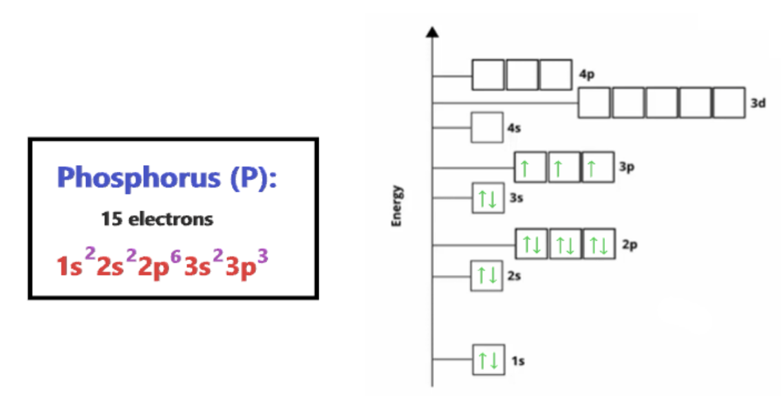 - spdf notation: write shell/subshell in increasing energy, # of electrons in superscript (e. 1s^2 2s^2)
- Orbital Diagrams