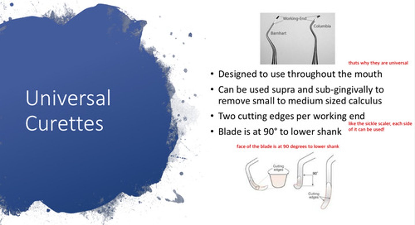 <p>two cutting edges (like the sickle scaler)</p>