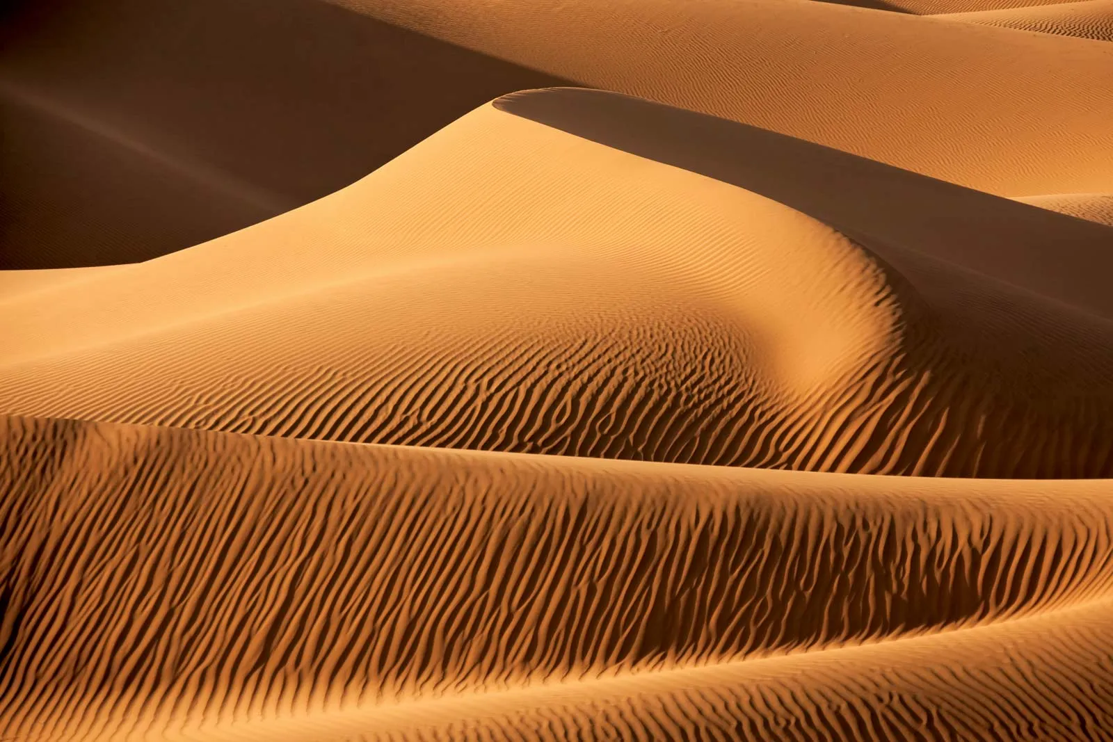 <p>large spots where there are a ton of dunes</p>