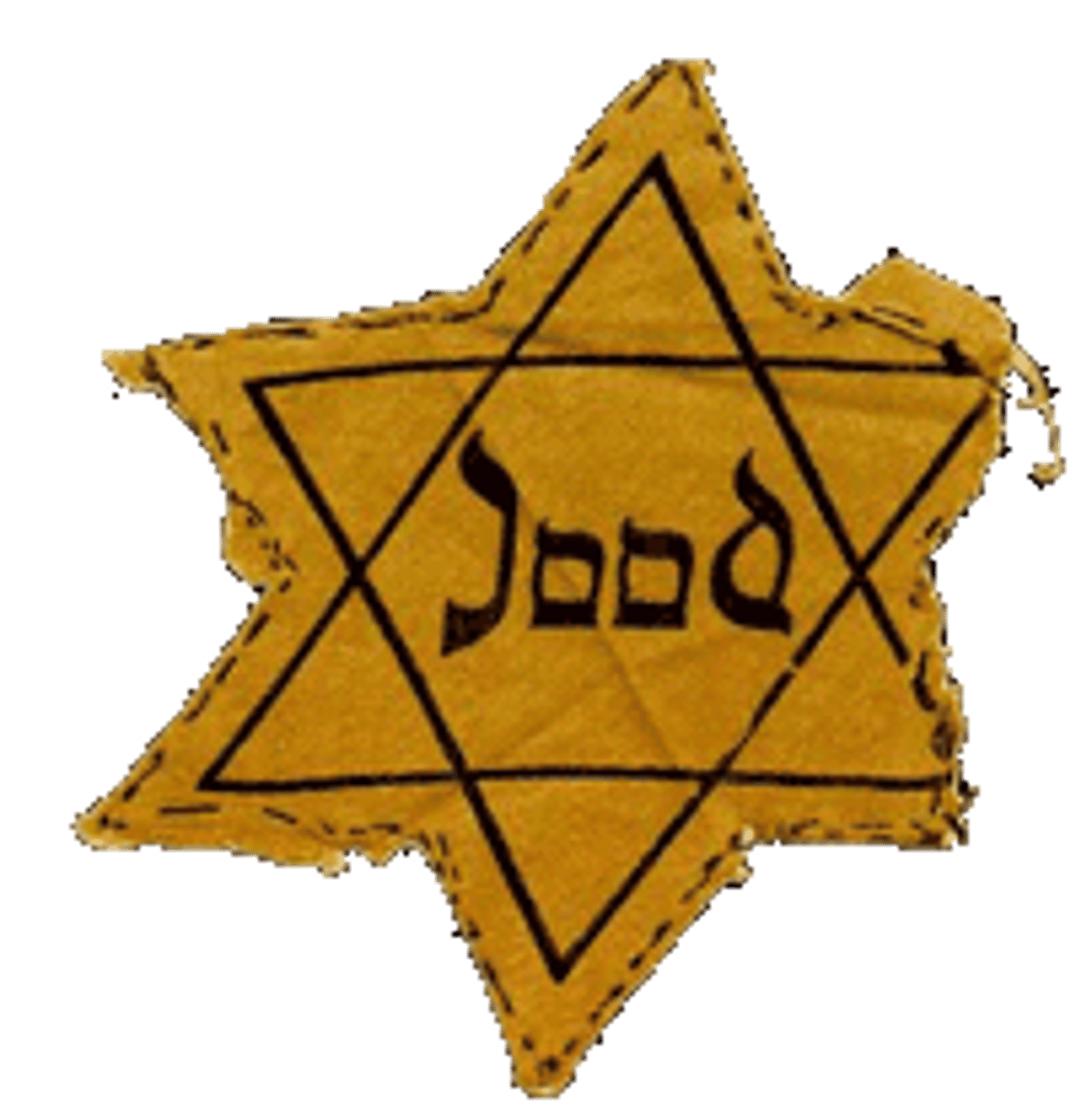 <p>Placed severe restrictions of Jews, prohibited from marrying non- Jews, attending schools or universities, holding government jobs, practicing law or medicine or publishing books.</p>